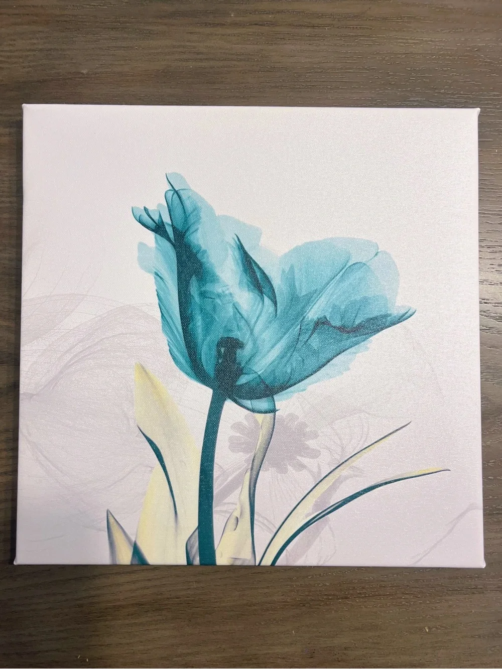 Hand-Painted Tulip Canvas Wall Art - Set of 4